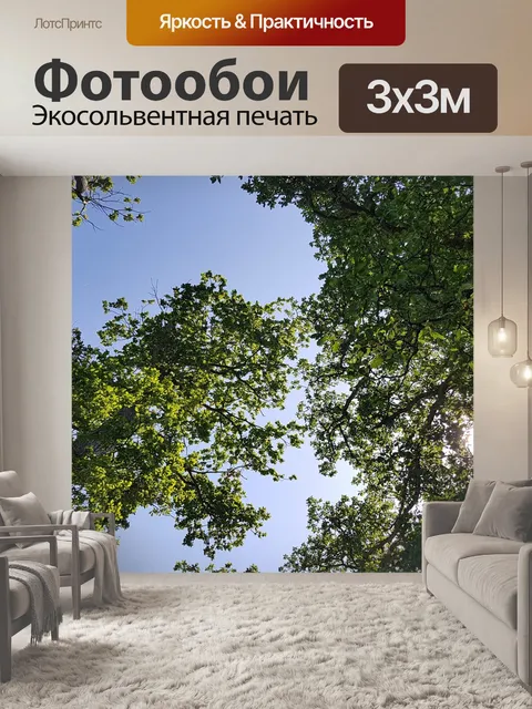 Фотообои Деревья