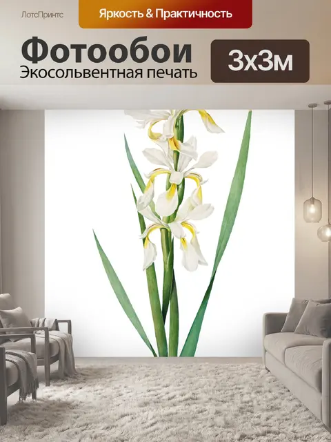 Фотообои Винтажный клипарт цветок ириса
