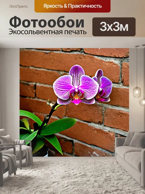 Фотообои орхидея, выросшая вдоль старой кирпичной стены, с контрастом цветов