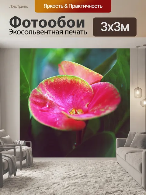 Фотообои Красивая