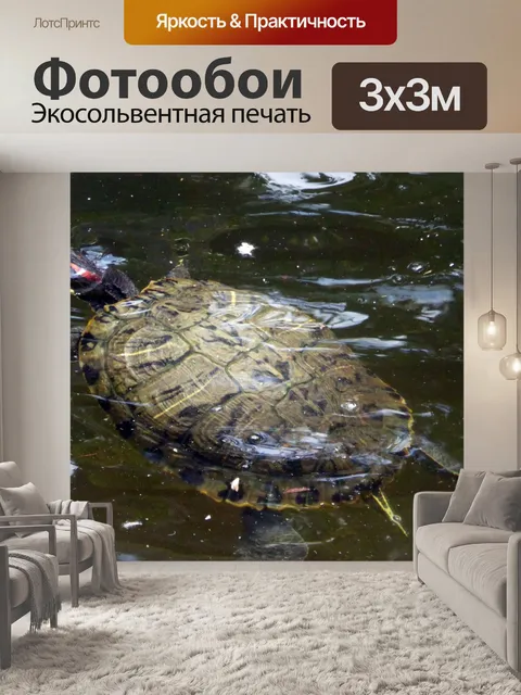 Фотообои Черепаха в пруду