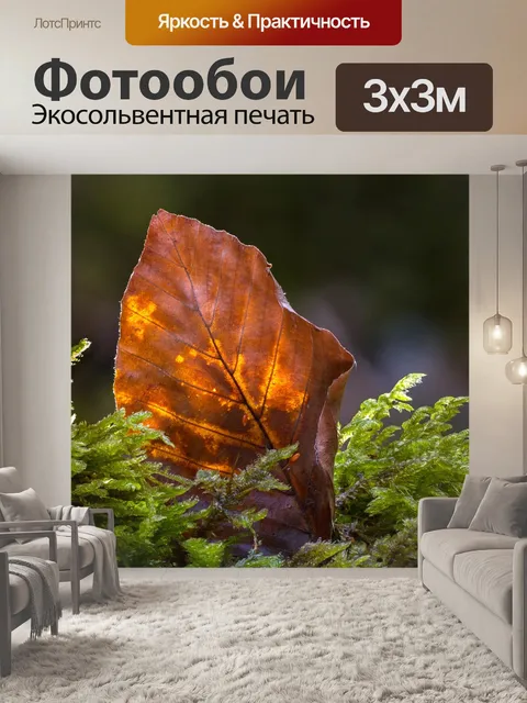 Фотообои Лист