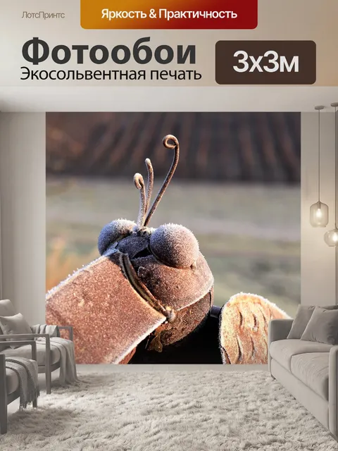Фотообои Птица
