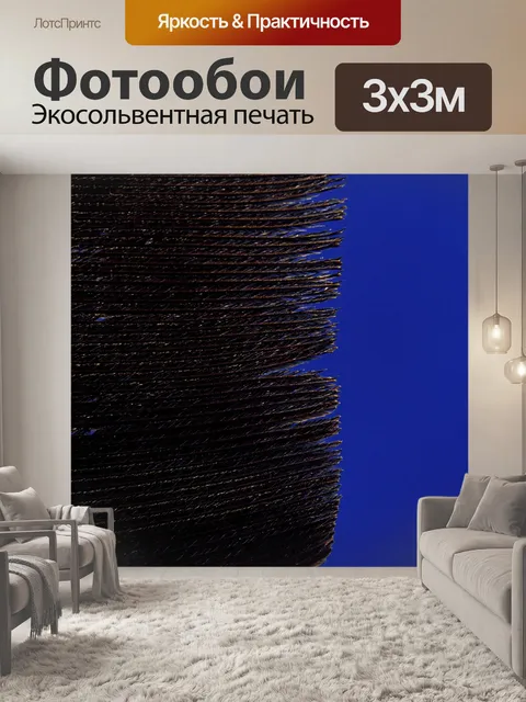 Фотообои Перо