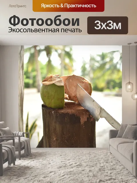 Фотообои Кокос