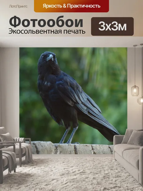 Фотообои Ворона на стене