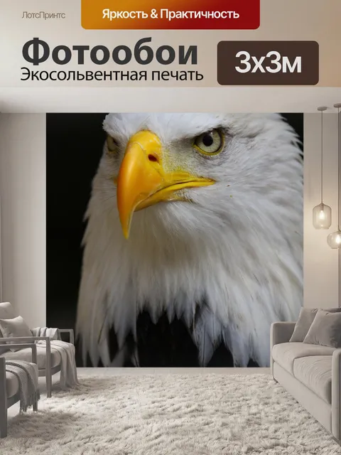 Фотообои Белоголовый орлан
