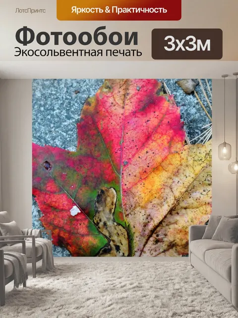 Фотообои Красочный кленовый лист