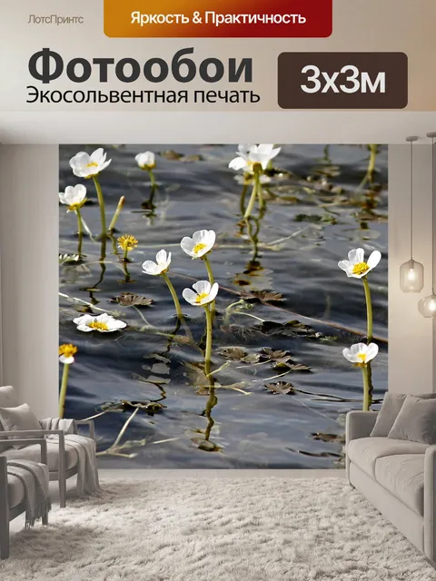 Фотообои Водяной лютик