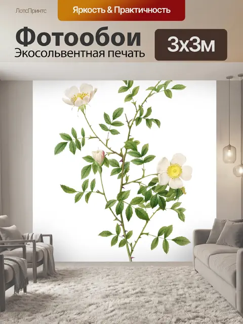 Фотообои Старинные цветы искусство старый