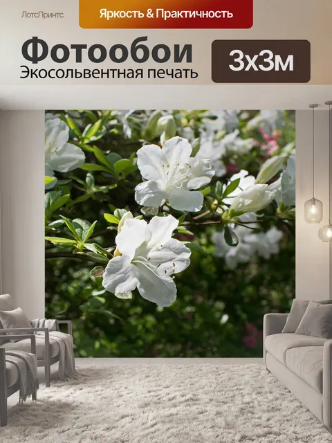 Фотообои Белый азалия