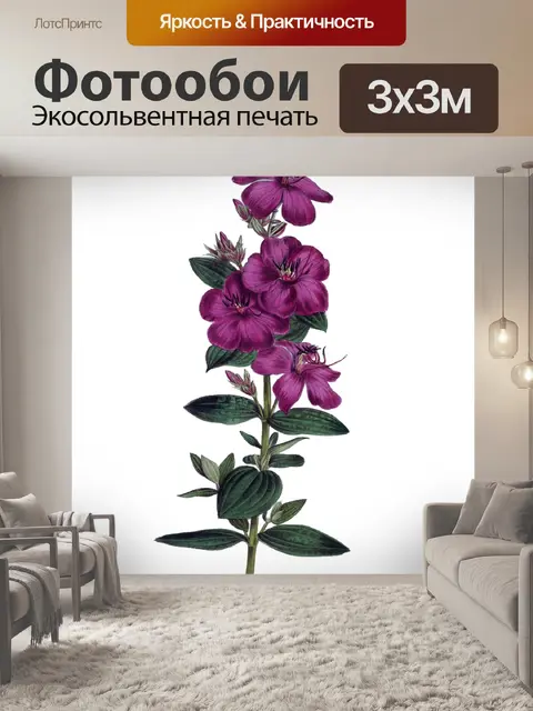 Фотообои Цветок Фиолетовый Винтажное Искусство