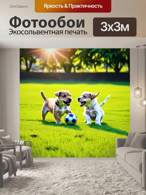 Фотообои пара щенков, счастливо активно играя с мячом на зелёном поле под солнечными лучами