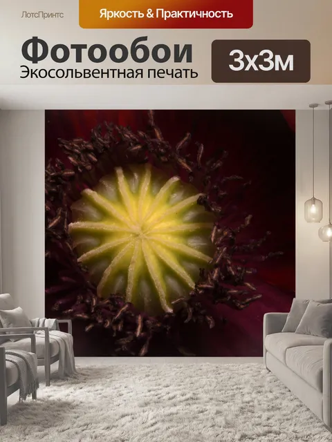 Фотообои внутренняя структура цветка красного мак