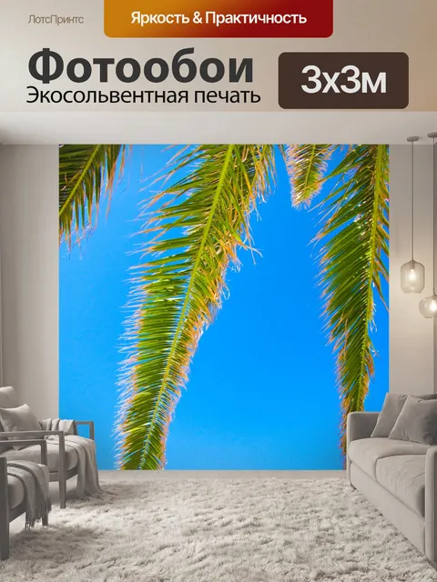 Фотообои Пальмовые листья деревьев