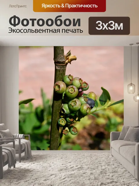 Фотообои черника
