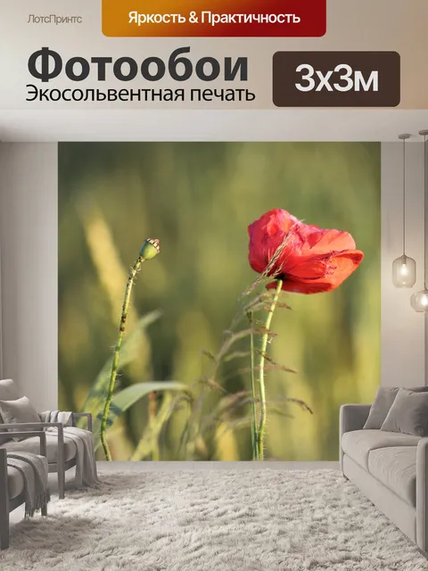 Фотообои Красный букет маков