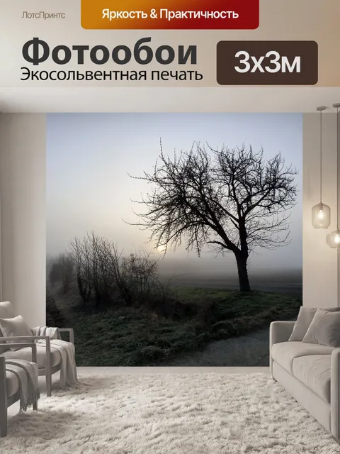 Фотообои Туман