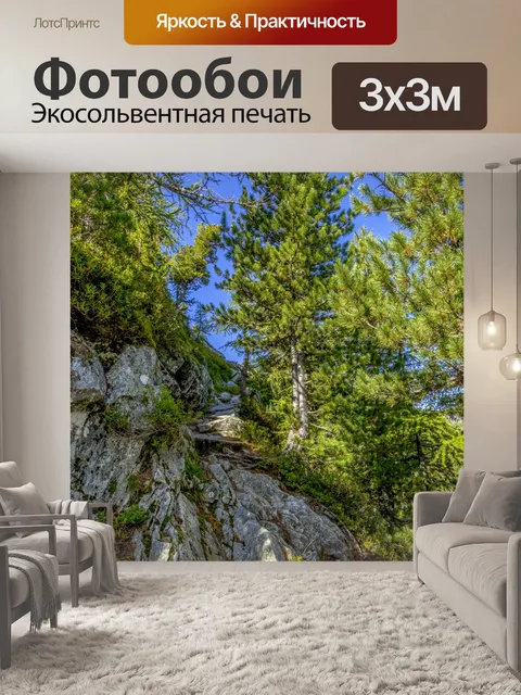 Фотообои Лесной путь