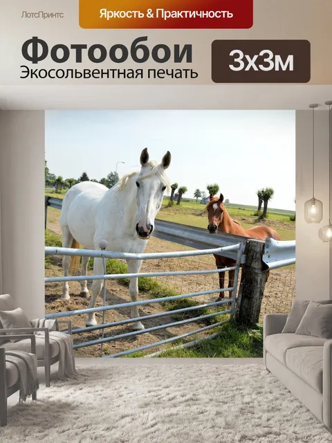 Фотообои 2 лошади