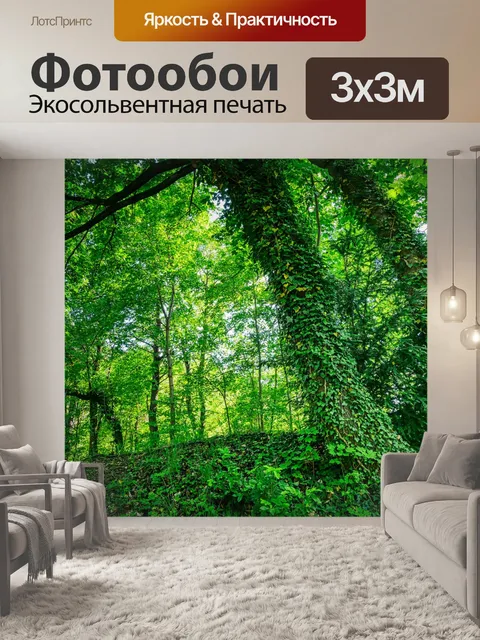 Фотообои Лес