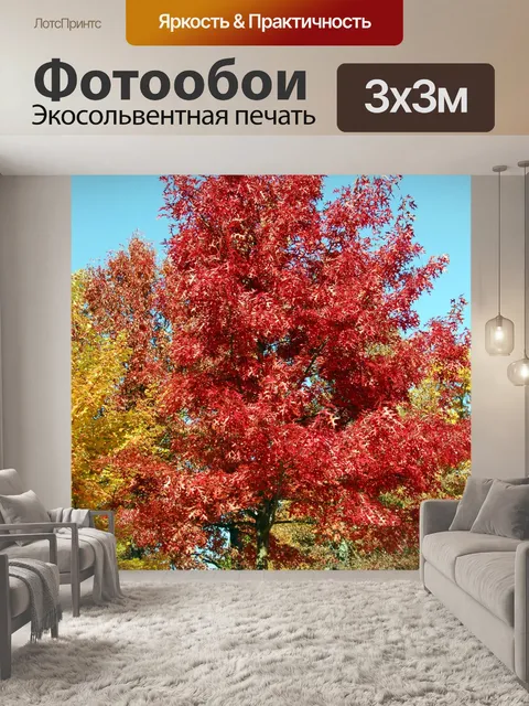 Фотообои Цвета осени