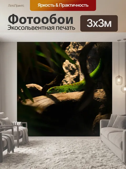 Фотообои Ящерица