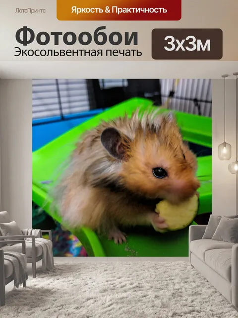 Фотообои Хомяк Питание
