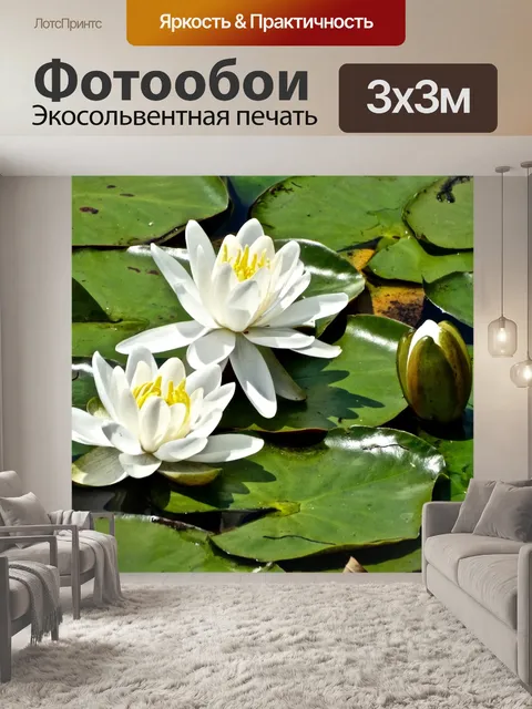 Фотообои Белый пруд лилии