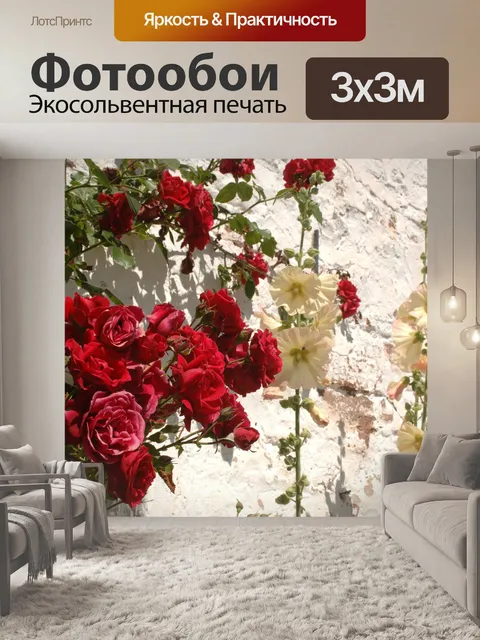 Фотообои Рось