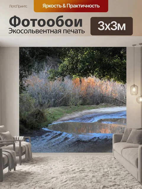 Фотообои Дождь Лужа на дороге