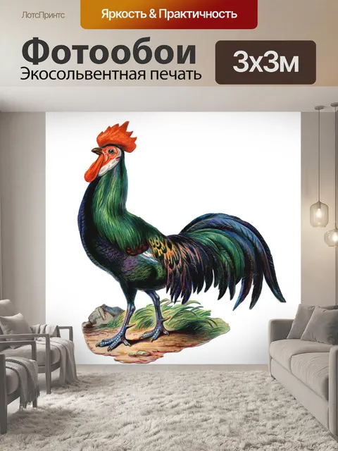 Фотообои Винтажная курица-петух