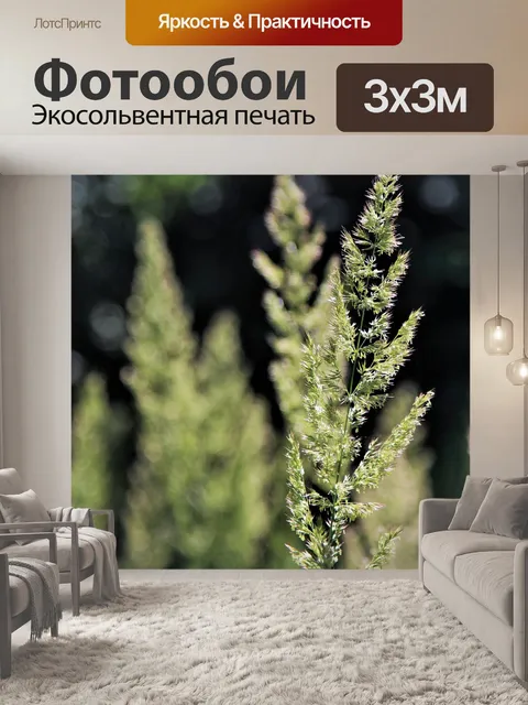 Фотообои Трава