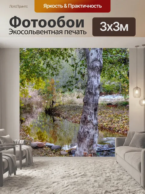 Фотообои Осенний поток
