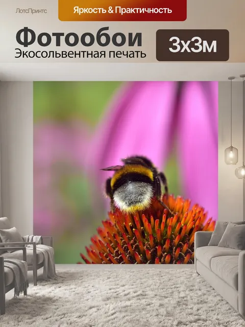 Фотообои Шмель