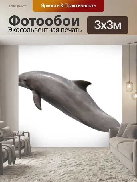 Фотообои Дельфин