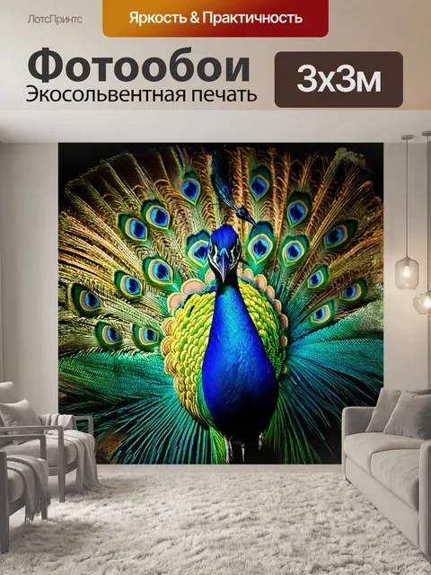 Фотообои павлин расправляет свои яркие перья, образуя хоровод из цветных глазков, которые кажутся почти сказочными