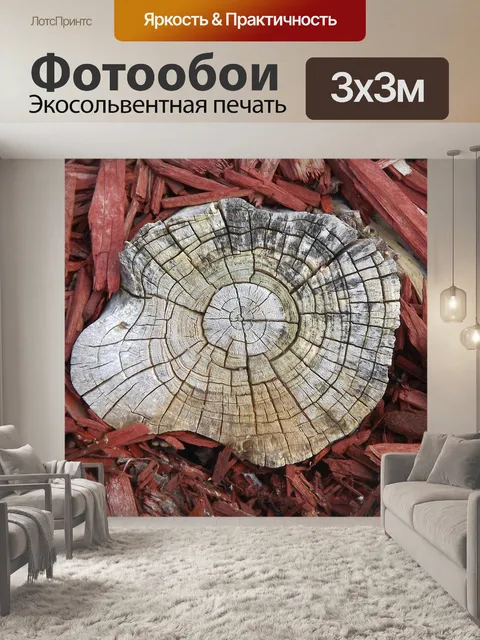 Фотообои Ствол