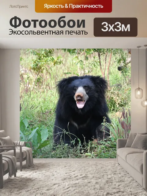 Фотообои Губач