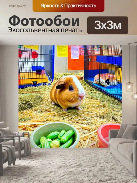 Фотообои в ярком зоомагазине, наполненном разноцветными клетками, одна маленькая морская свинка с мягкой, блестящей…