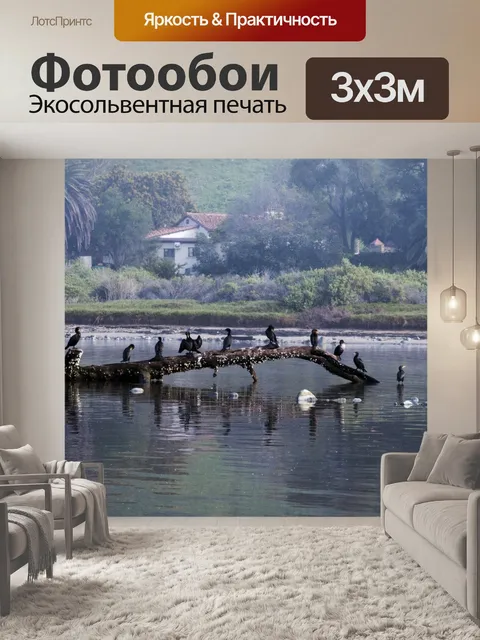 Фотообои Журнал баклан