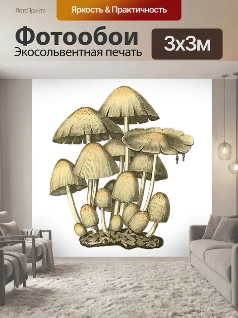 Фотообои Винтаж Клипарт Гриб Чемпион