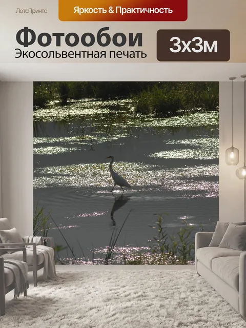 Фотообои Цапля