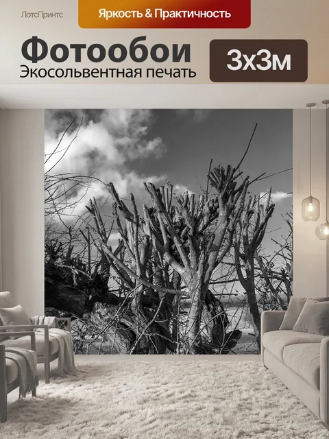 Фотообои Поле & Хедж Черно-белое