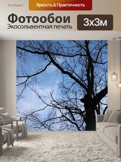 Фотообои Деревья