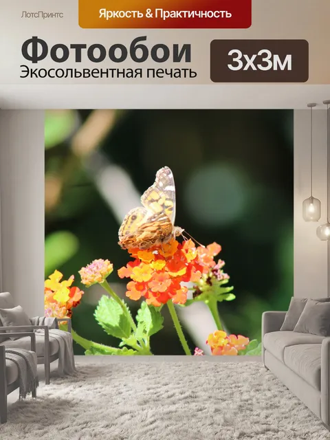 Фотообои Мисс выцветшей леди Питьевой нектар