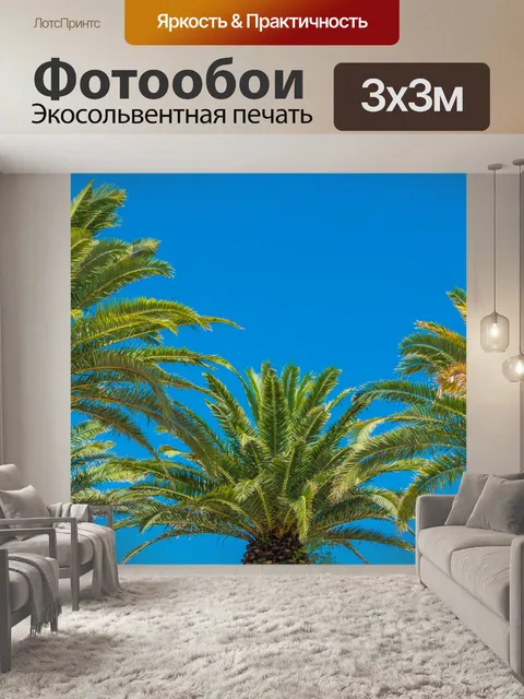 Фотообои Пальмы и голубое небо