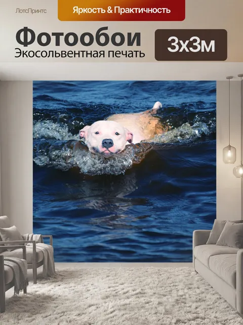Фотообои Собака