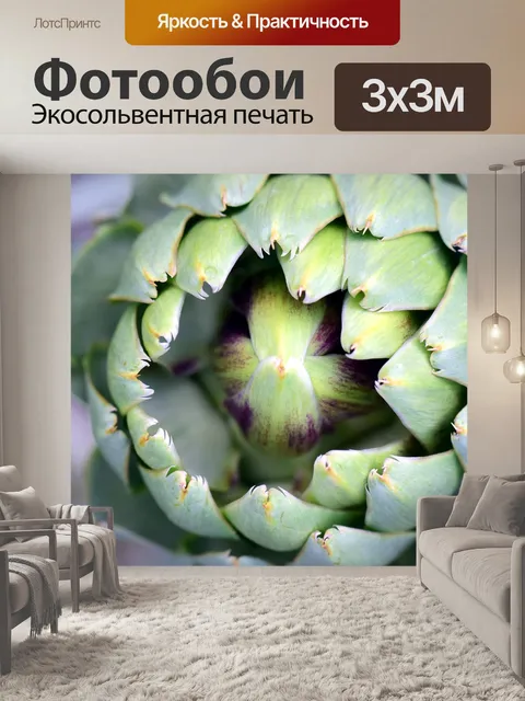 Фотообои Артишок