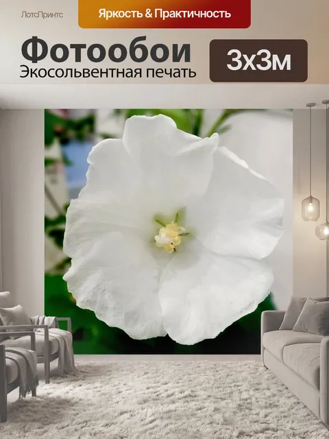Фотообои Роза шарона